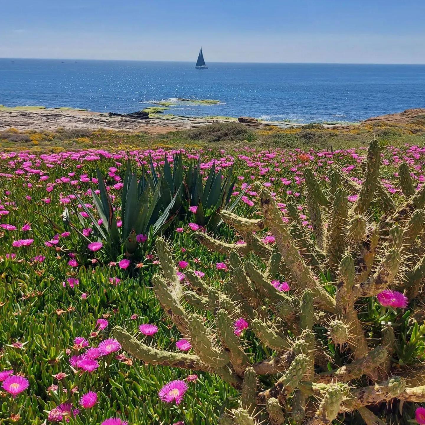 Maravillosa Terraza Con Vistas Al Mar, La Mata Torrevieja Kültér fotó