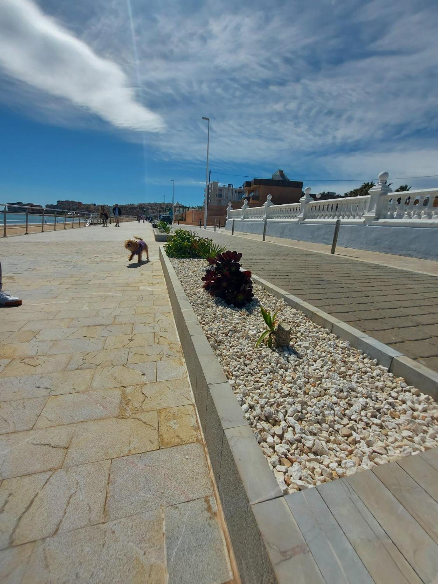 Maravillosa Terraza Con Vistas Al Mar, La Mata Torrevieja Kültér fotó