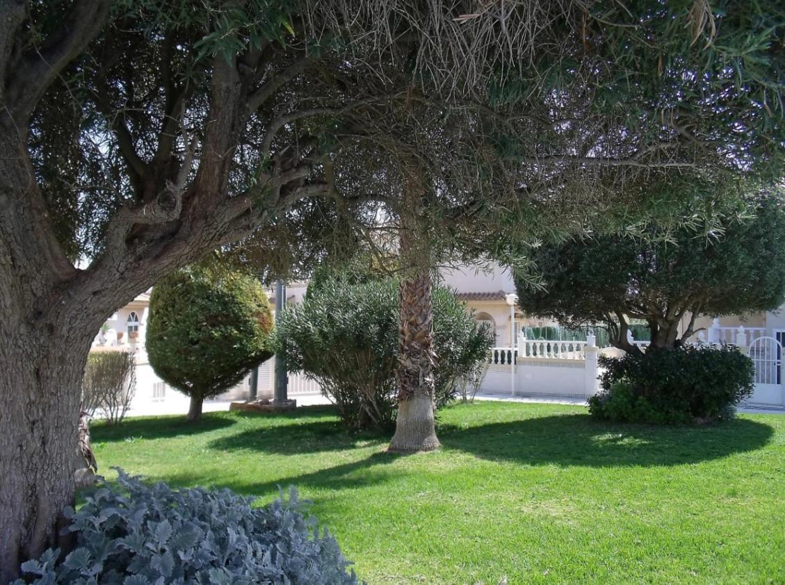 Maravillosa Terraza Con Vistas Al Mar, La Mata Torrevieja Kültér fotó